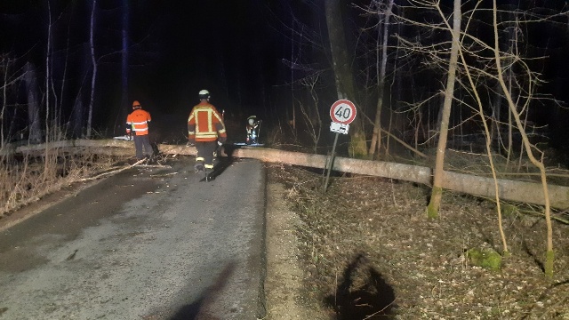 20230311_044745_resized groß.jpg